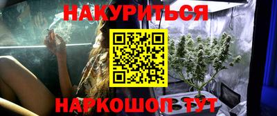 сатива Краснознаменск